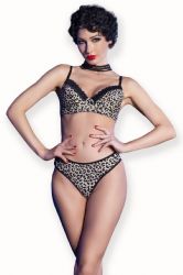  - Wildcat Bikini St (CR-4727)